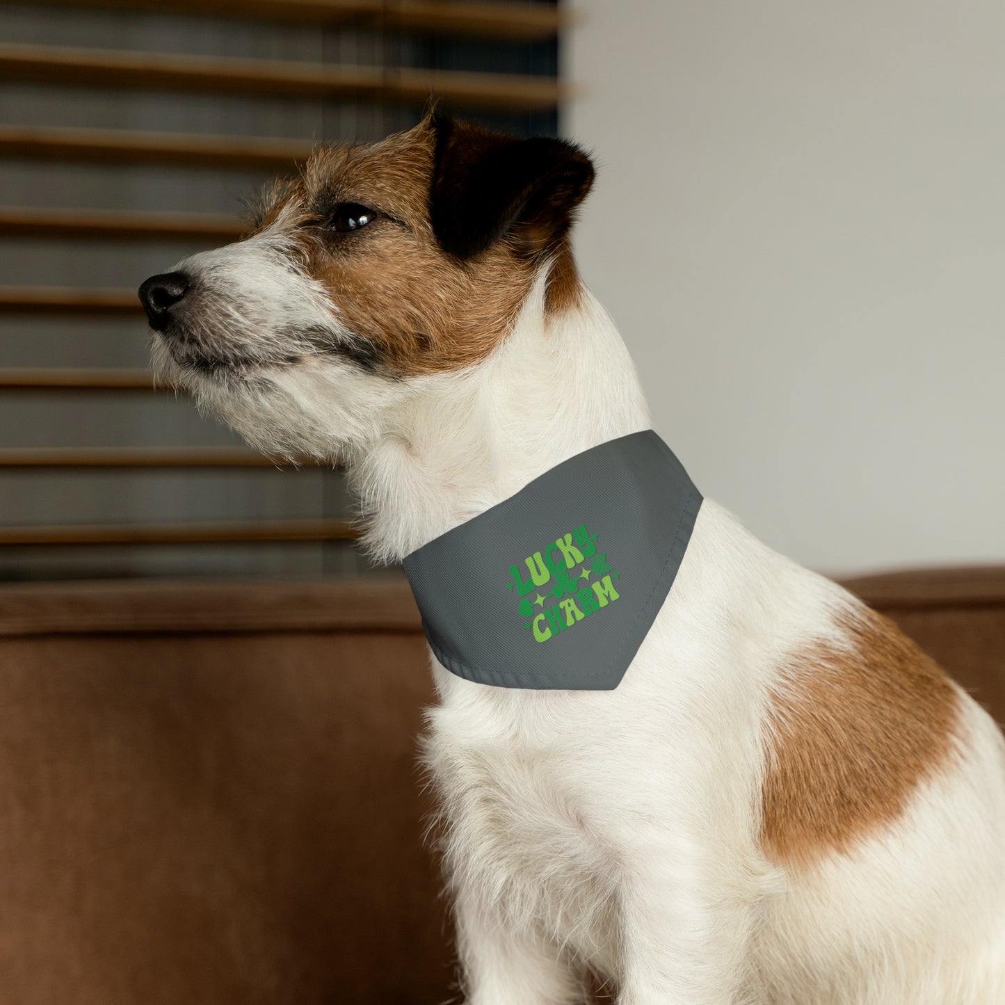 Lucky Charm Pet Bandana Collar