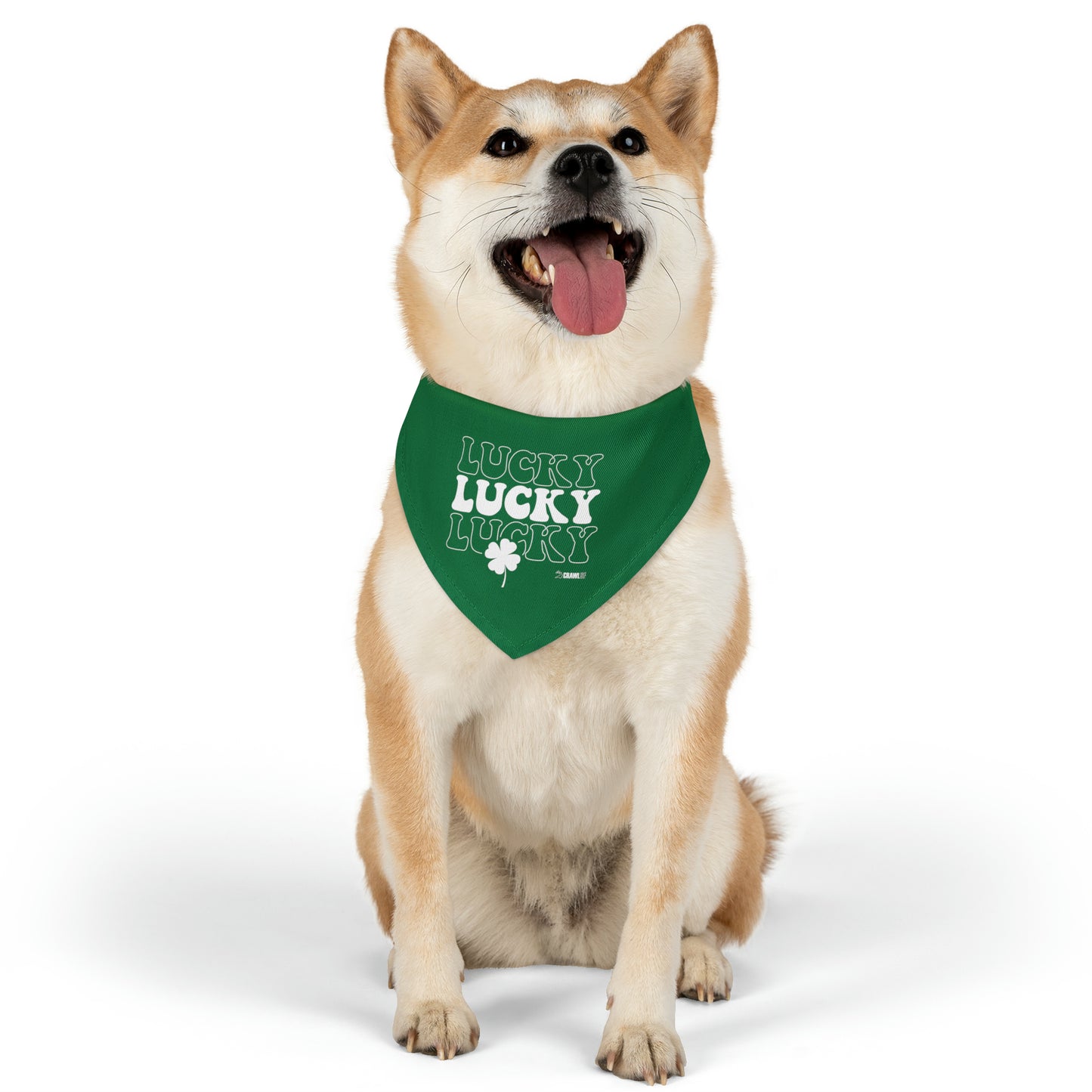 Lucky Dog Bandana Collar
