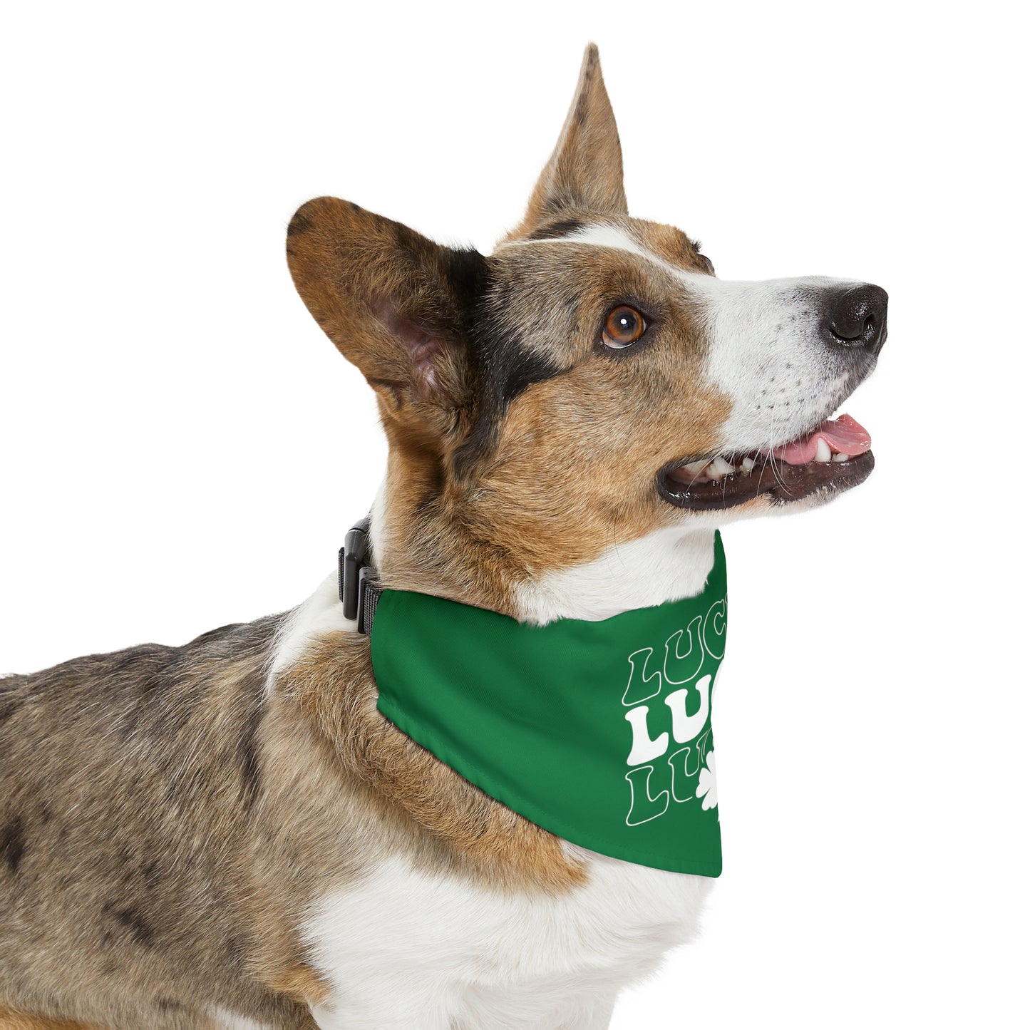 Lucky Dog Bandana Collar