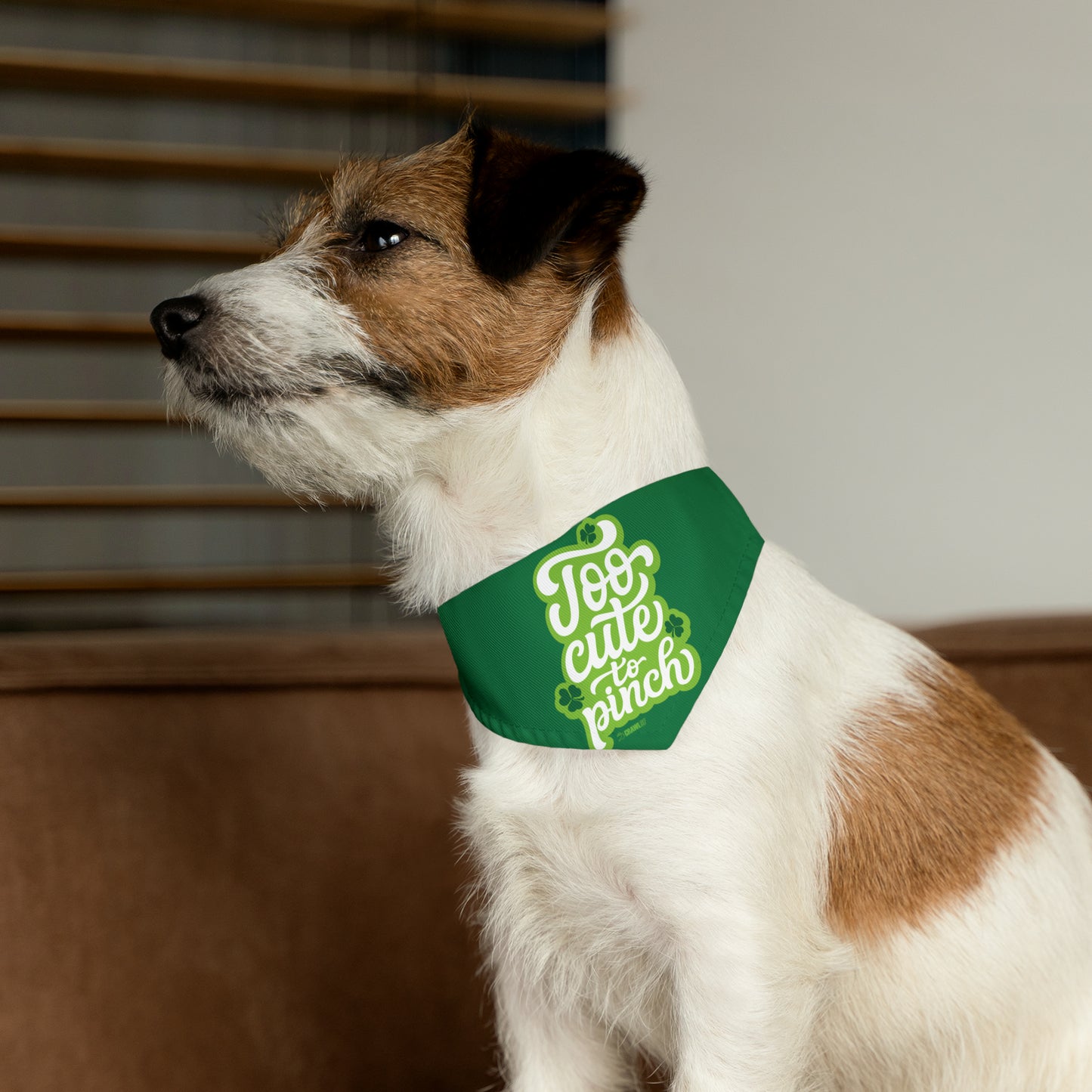 Too Cute To Pinch Pet Bandana Collar