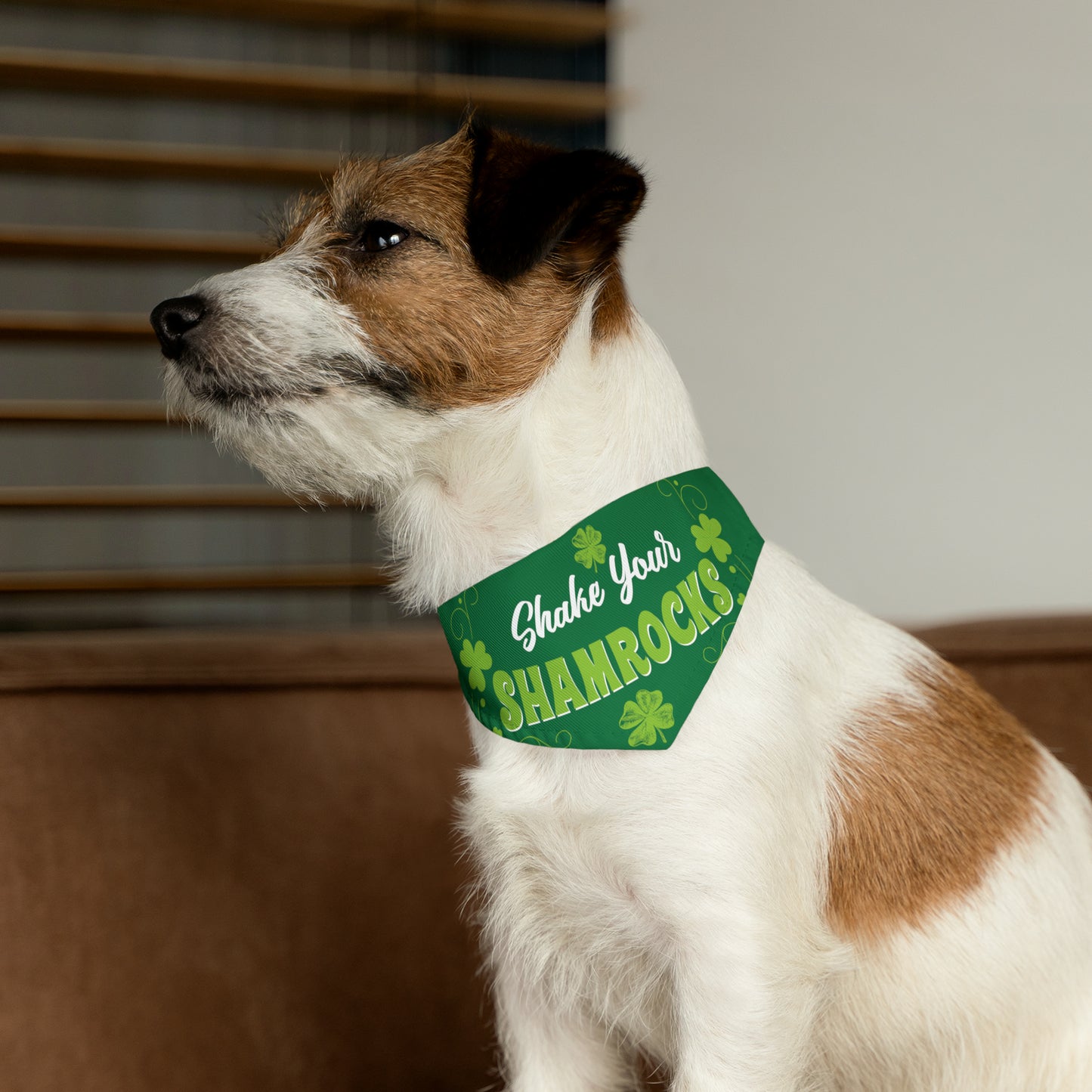 Shake Your Shamrock's Pet Bandana Collar