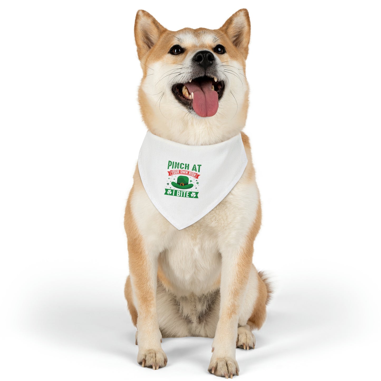 Pinch at Your Own Risk Dog Bandana Collar