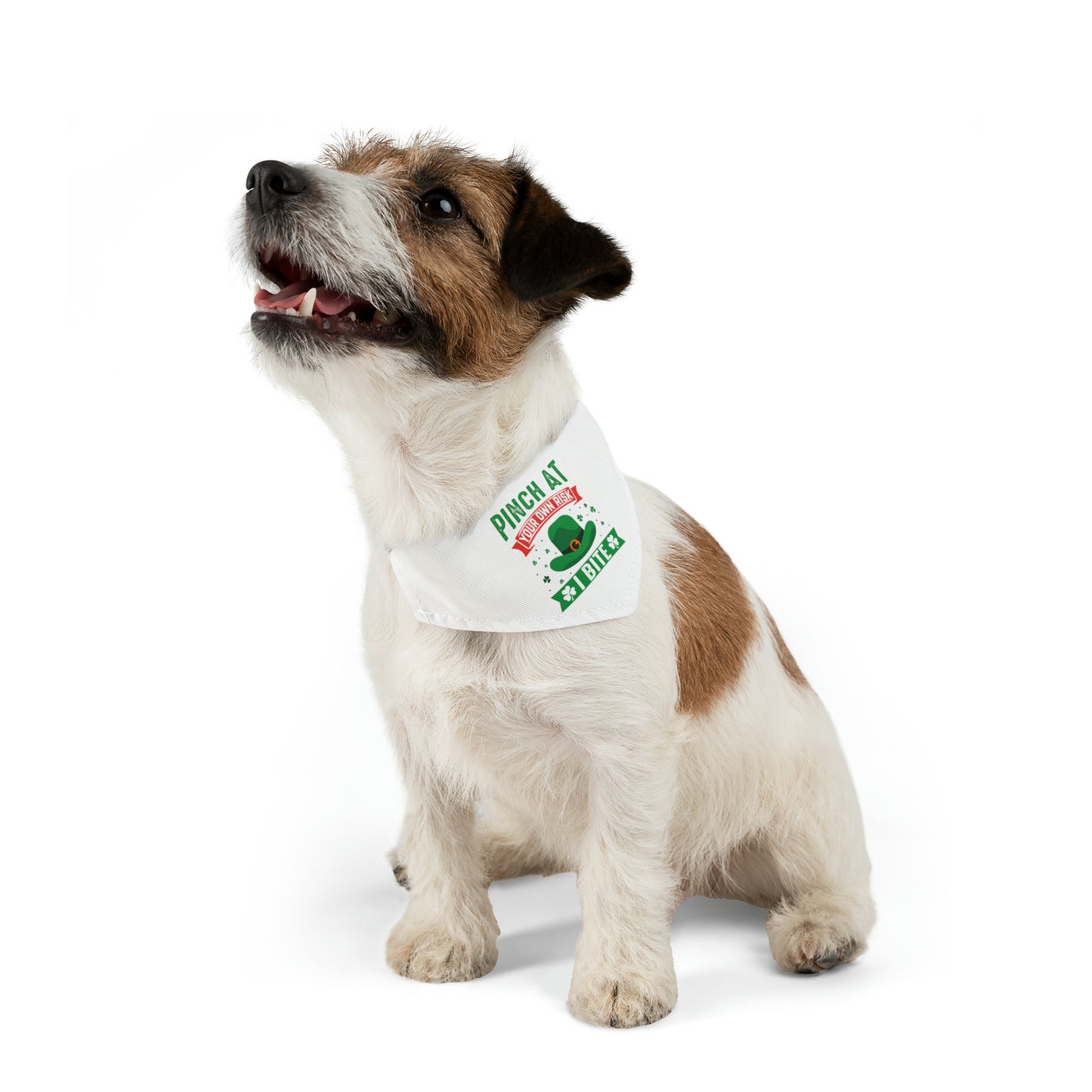 Pinch at Your Own Risk Dog Bandana Collar