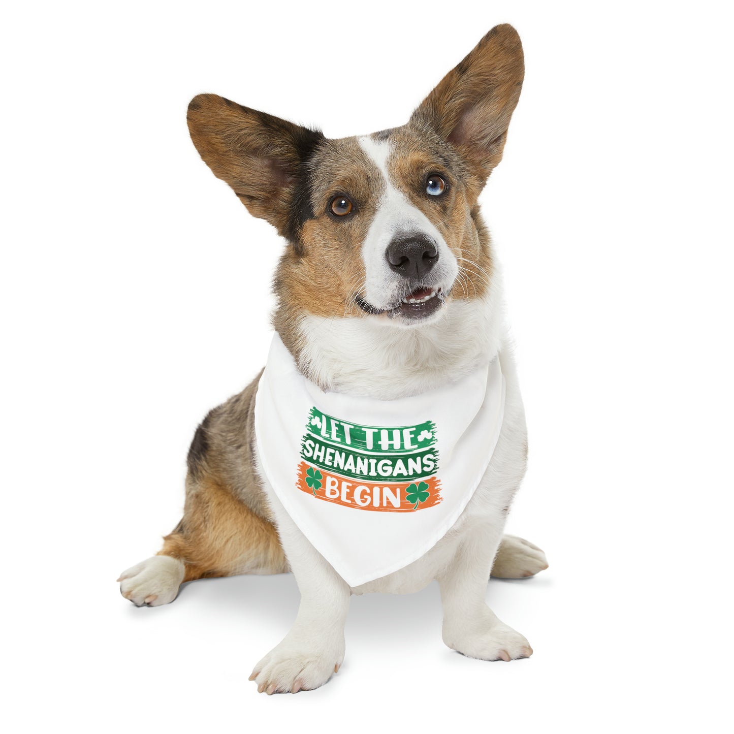 Let the Shenanigans Begin Bandana Dog Collar
