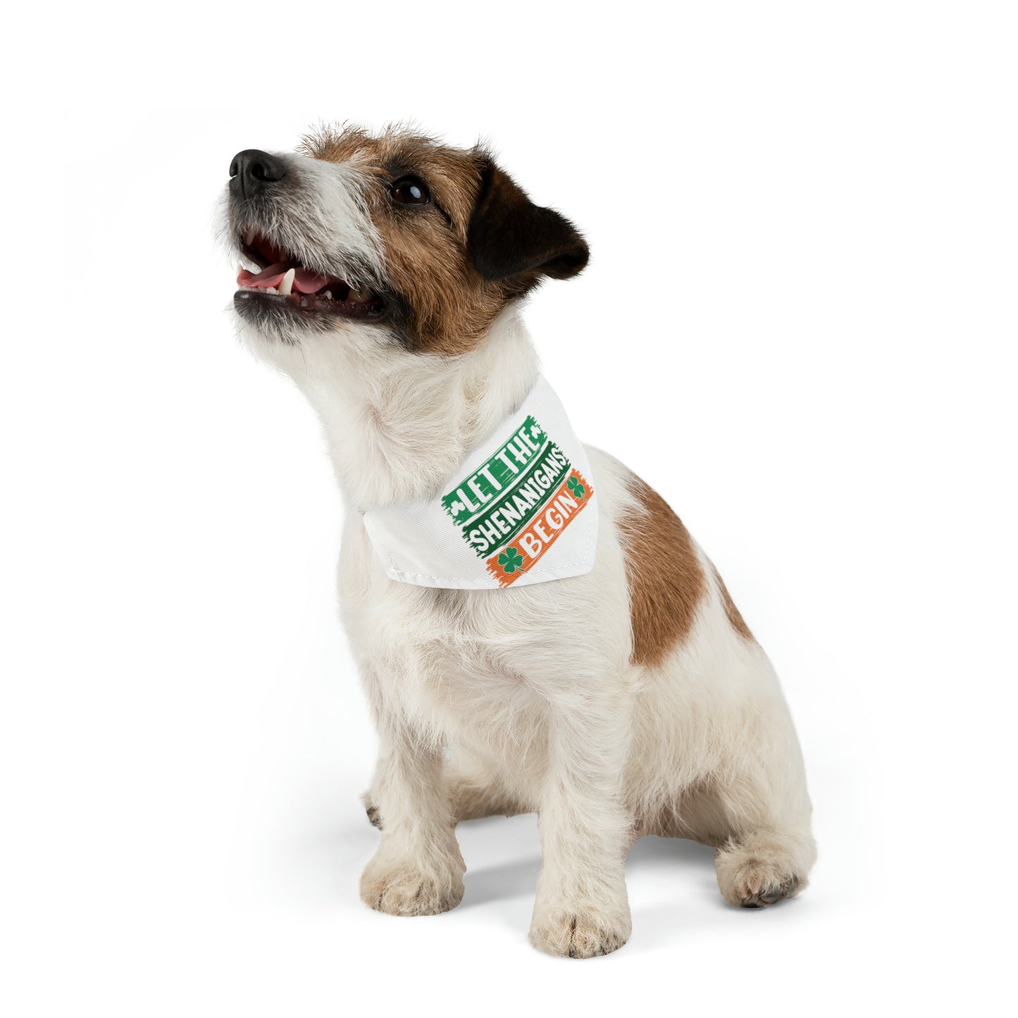Let the Shenanigans Begin Bandana Dog Collar