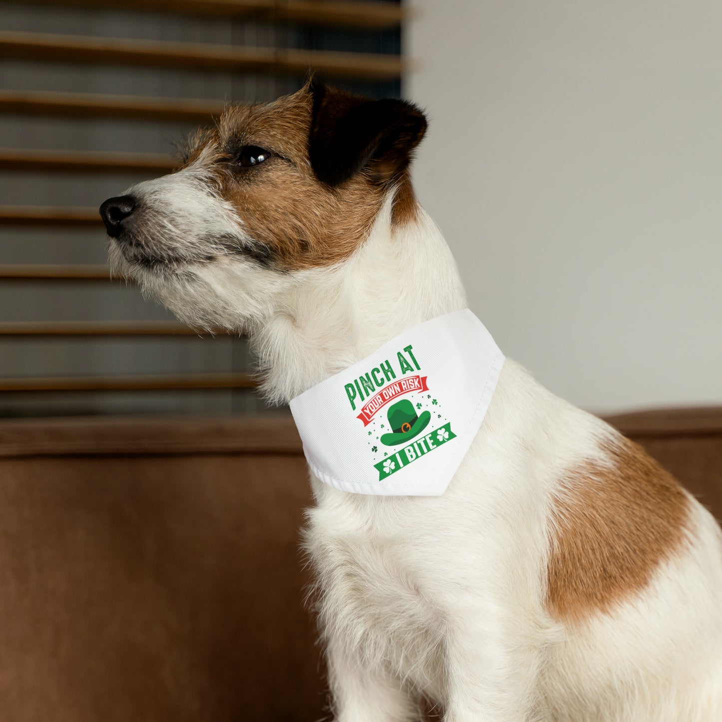Pinch at Your Own Risk Dog Bandana Collar