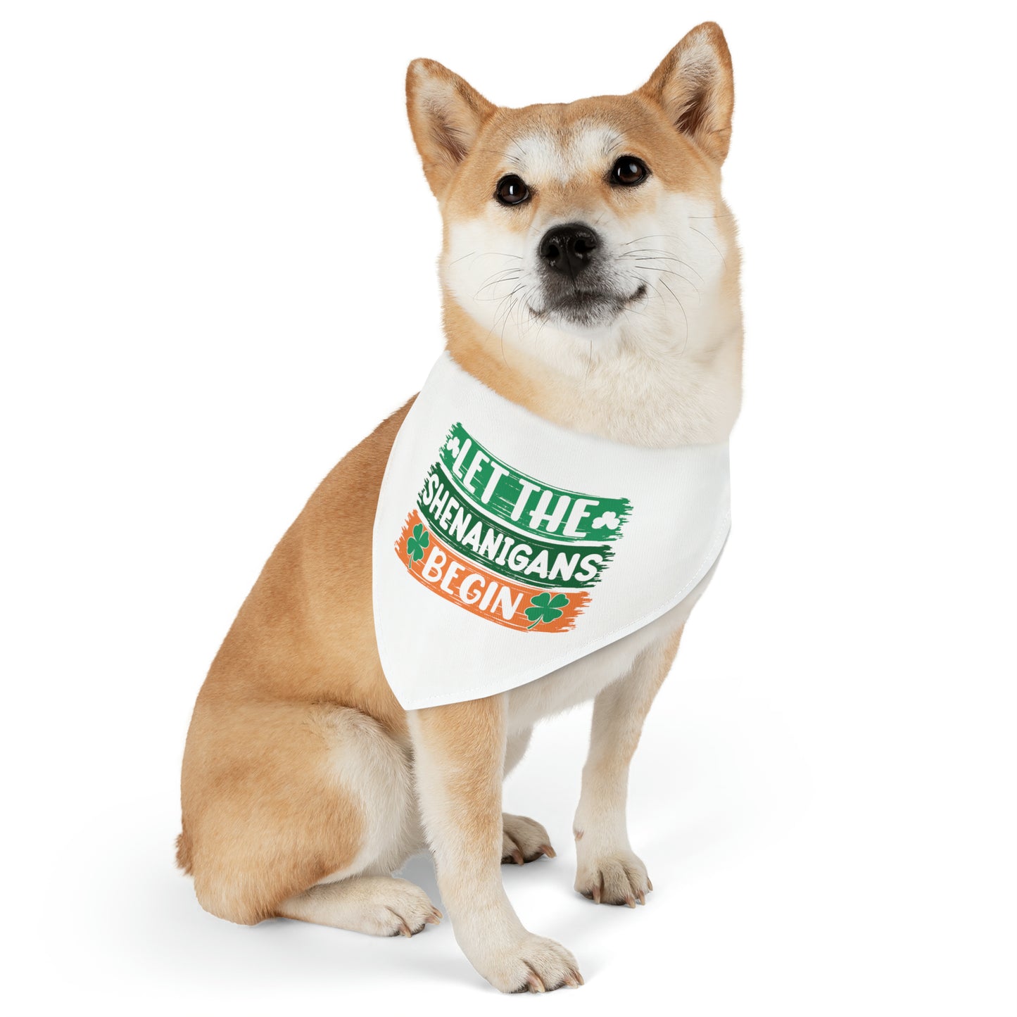 Let the Shenanigans Begin Bandana Dog Collar