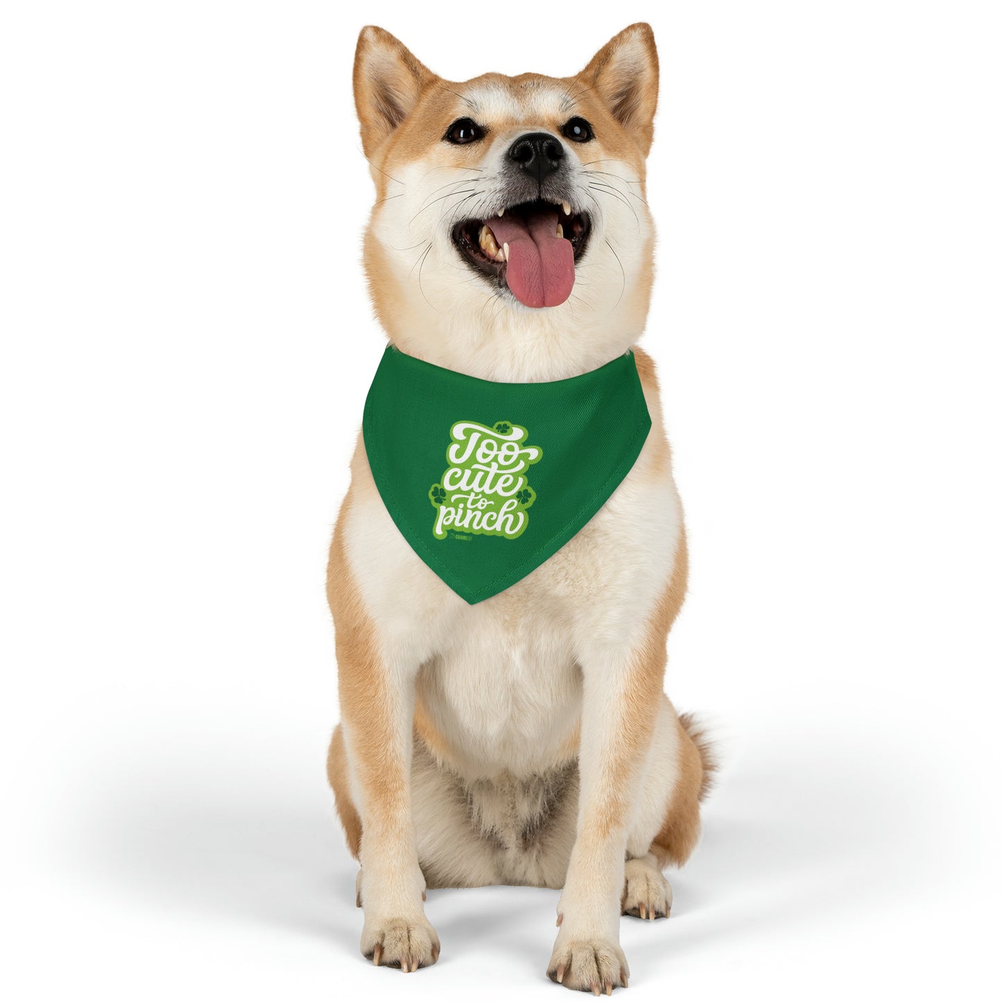 Too Cute To Pinch Pet Bandana Collar