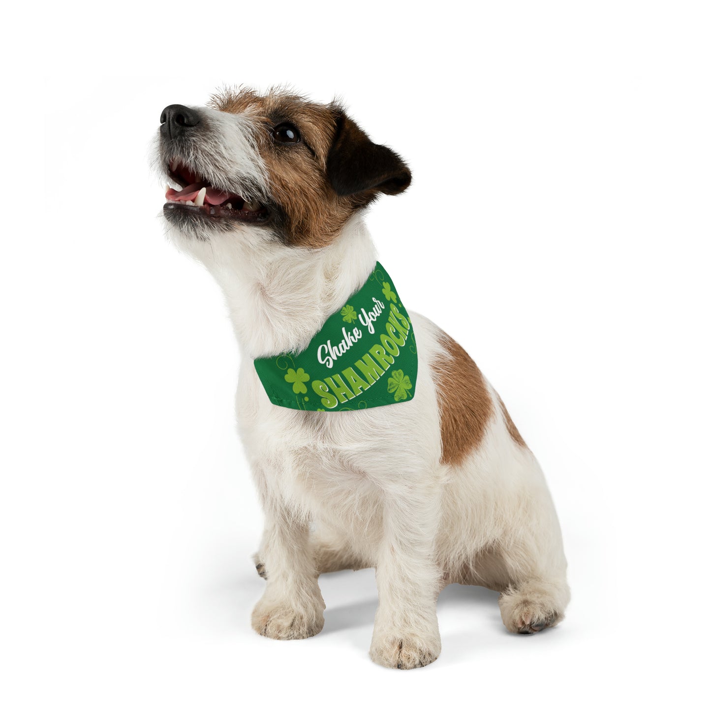 Shake Your Shamrock's Pet Bandana Collar