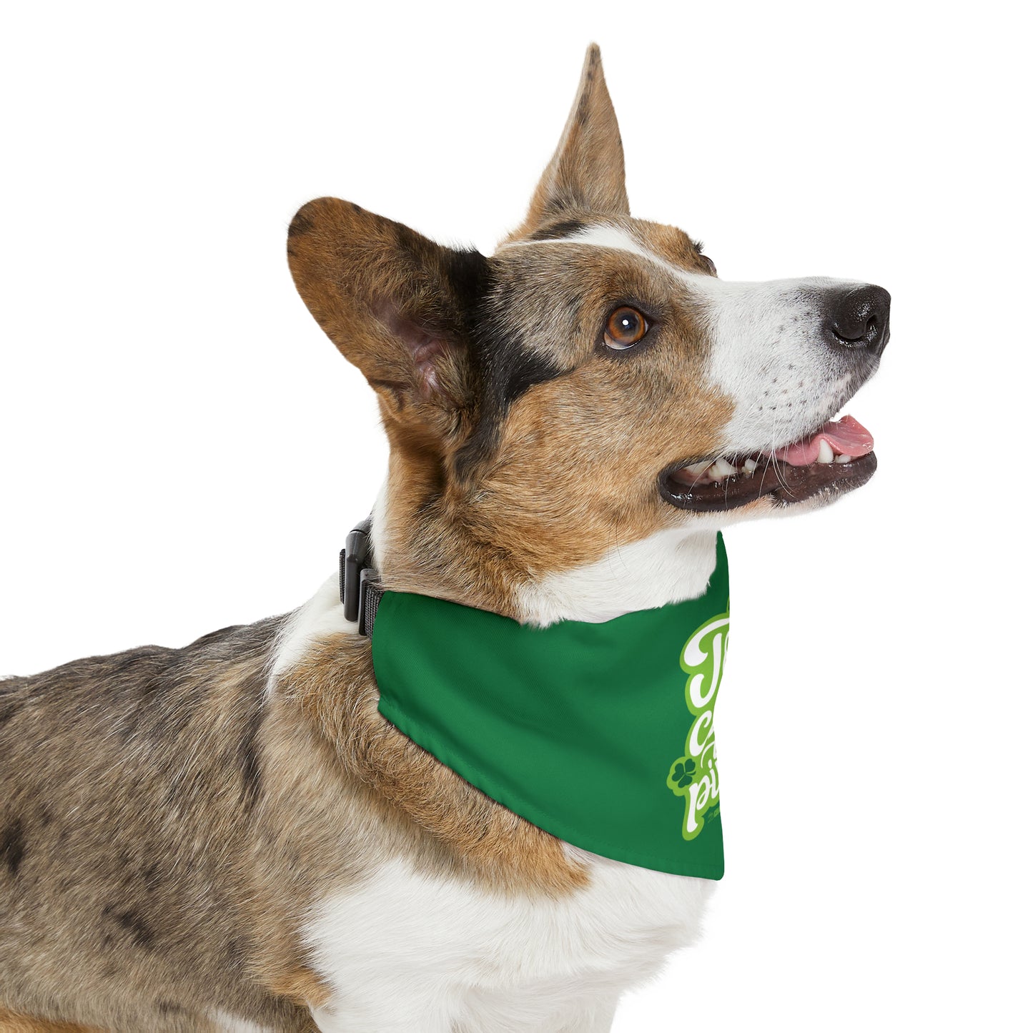 Too Cute To Pinch Pet Bandana Collar