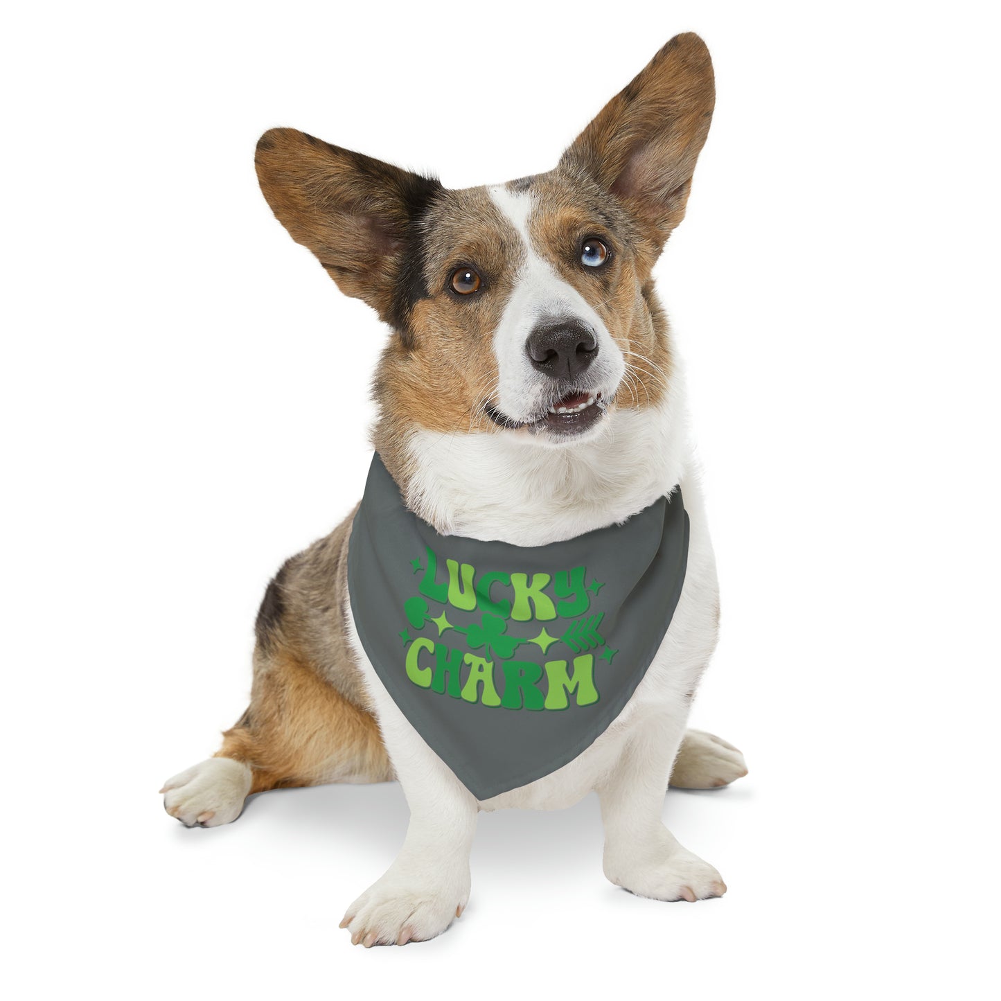 Lucky Charm Pet Bandana Collar