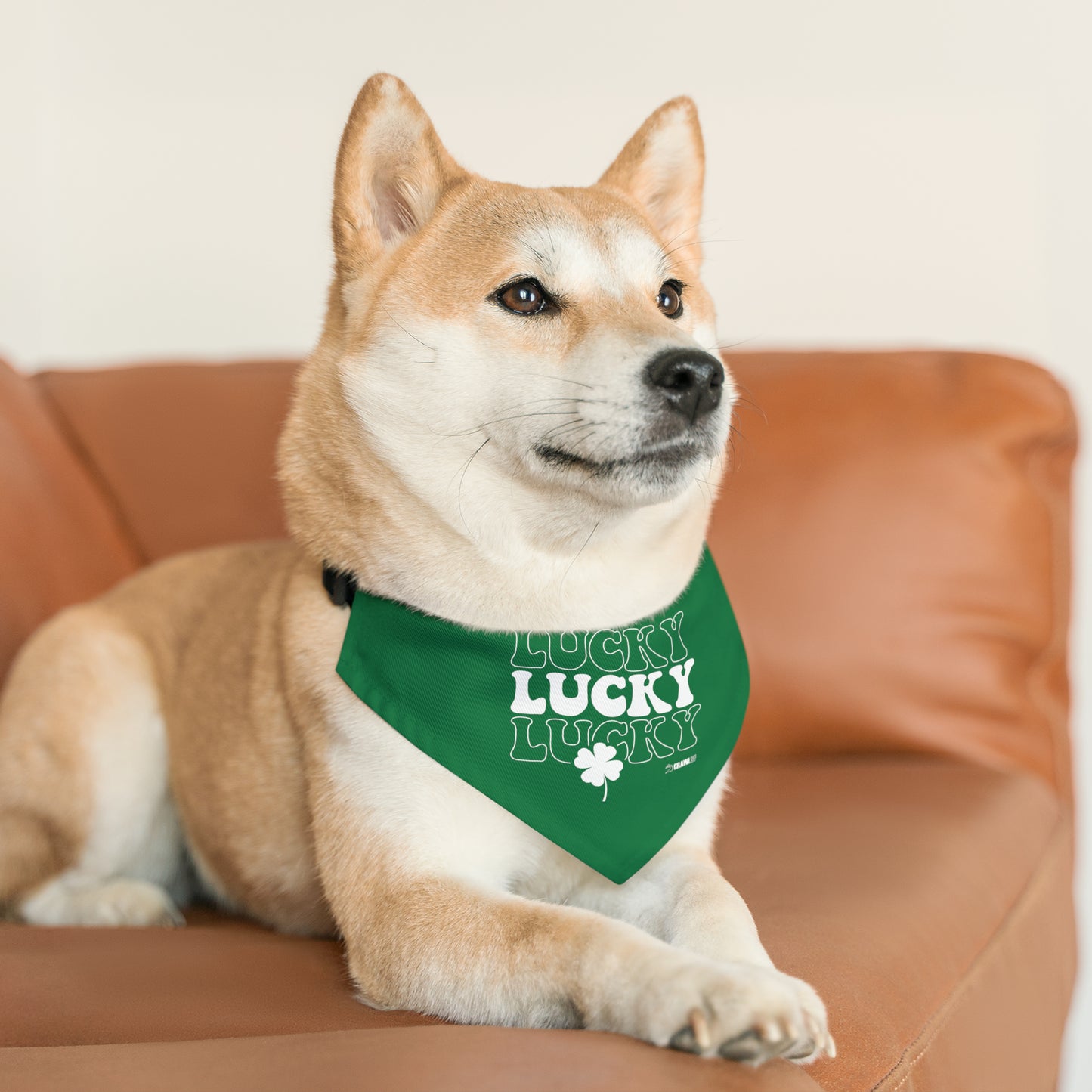 Lucky Dog Bandana Collar