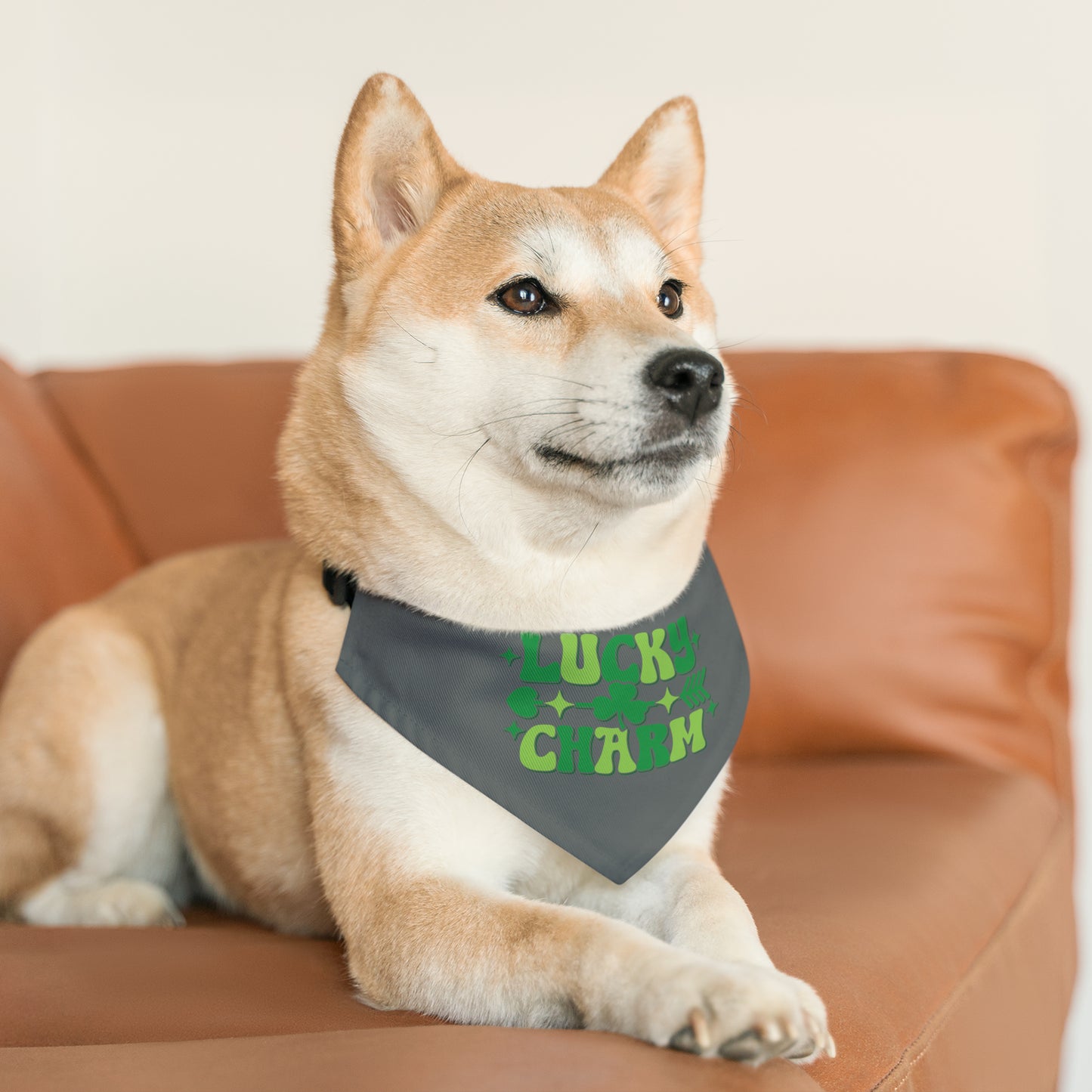 Lucky Charm Pet Bandana Collar