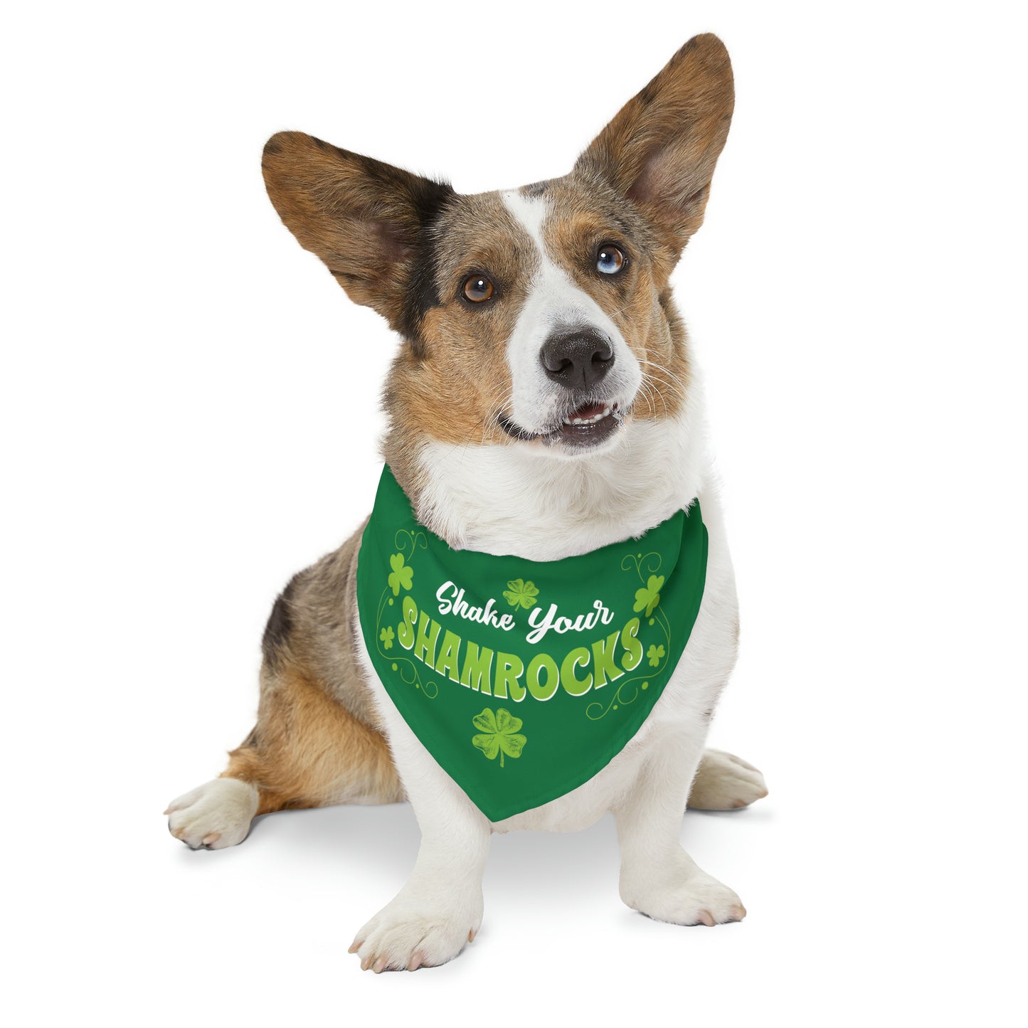 Shake Your Shamrock's Pet Bandana Collar