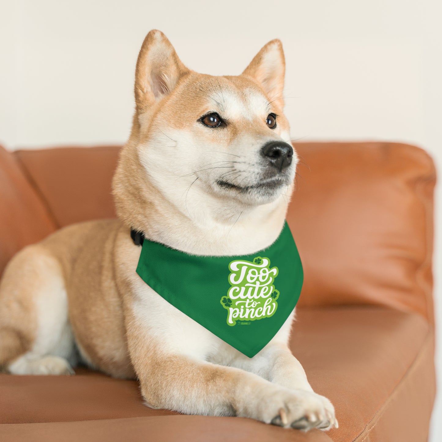 Too Cute To Pinch Pet Bandana Collar