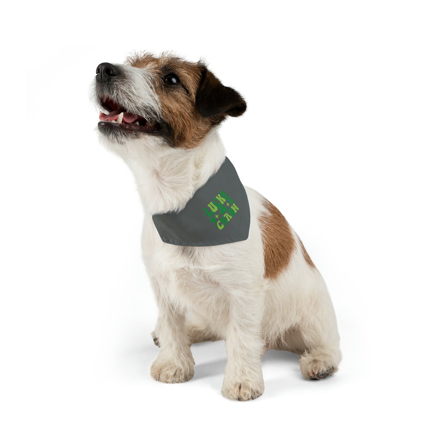 Lucky Charm Pet Bandana Collar