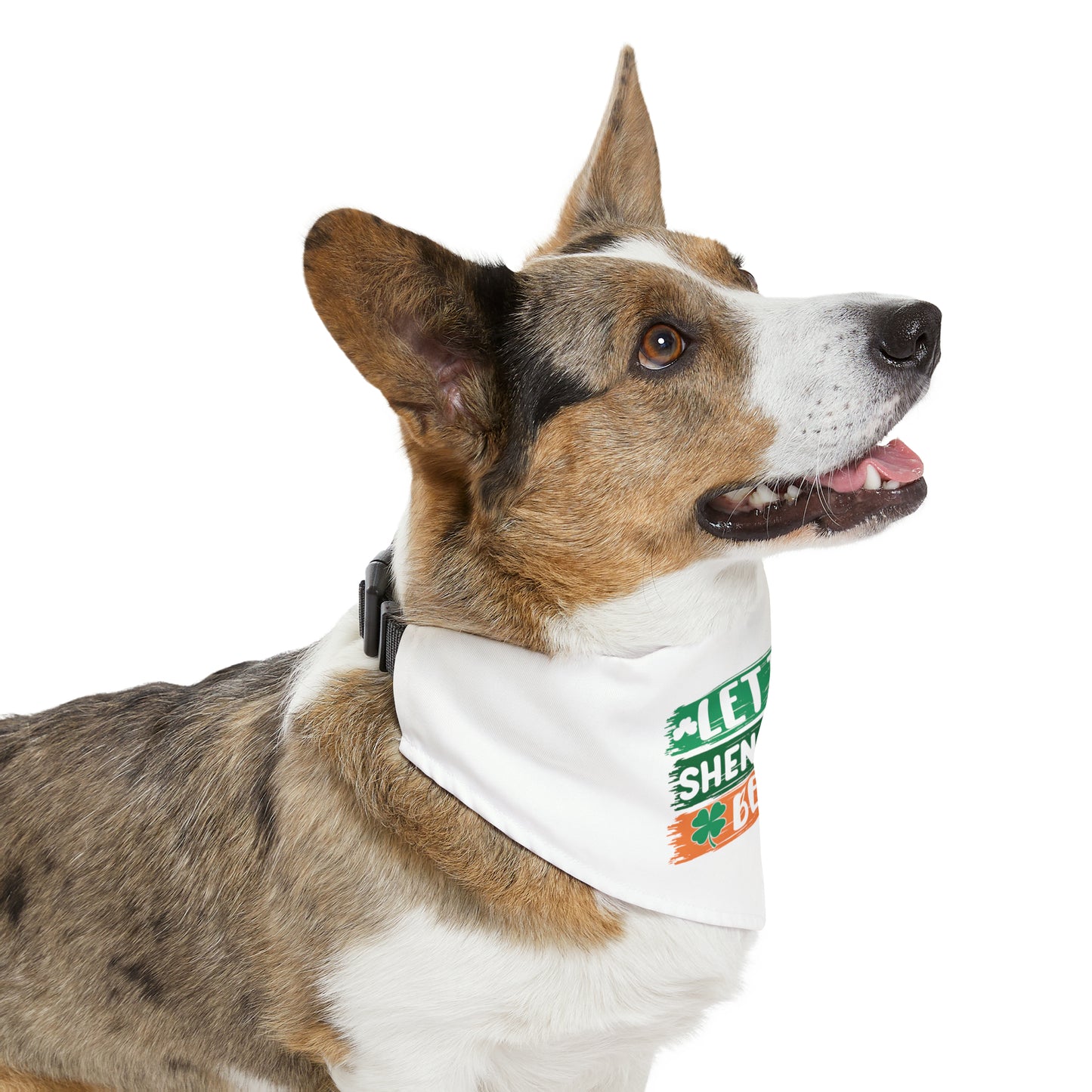 Let the Shenanigans Begin Bandana Dog Collar
