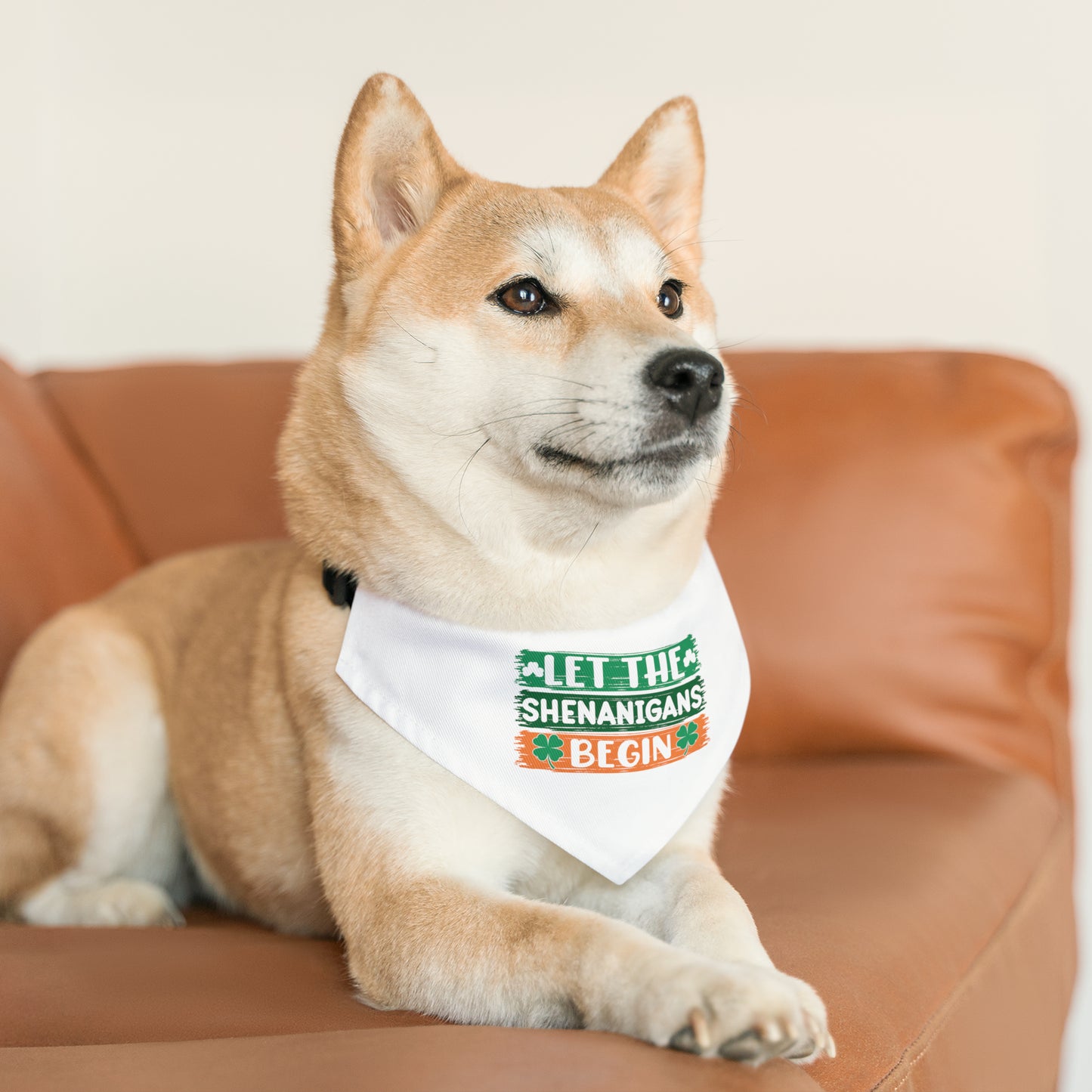 Let the Shenanigans Begin Bandana Dog Collar