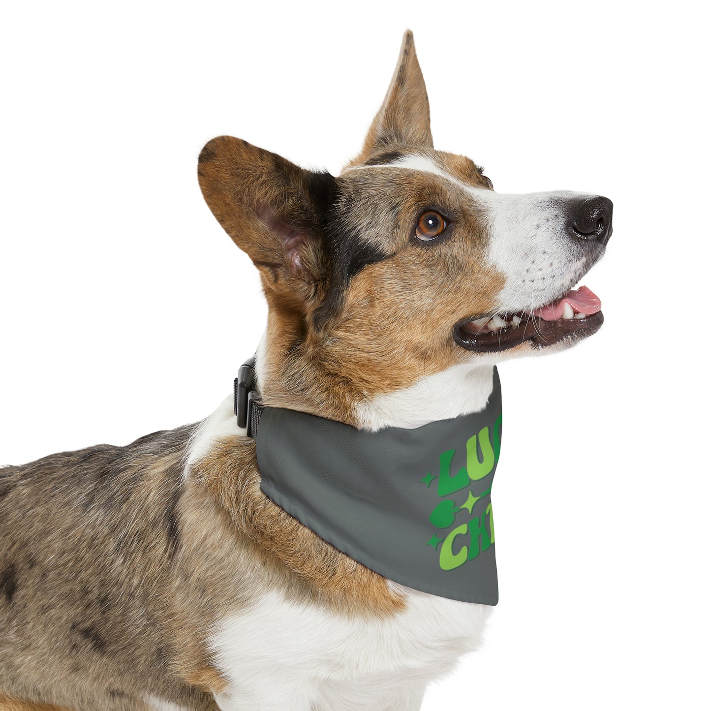 Lucky Charm Pet Bandana Collar