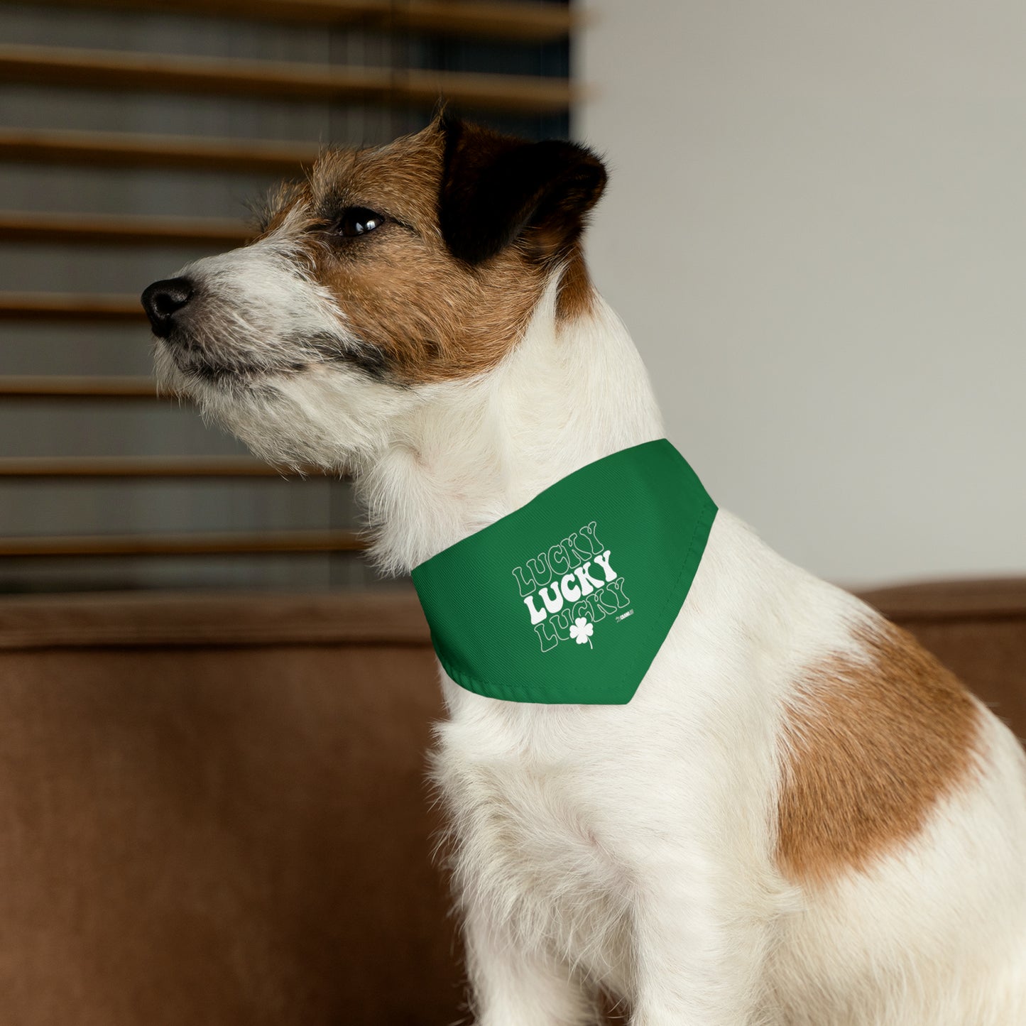 Lucky Dog Bandana Collar