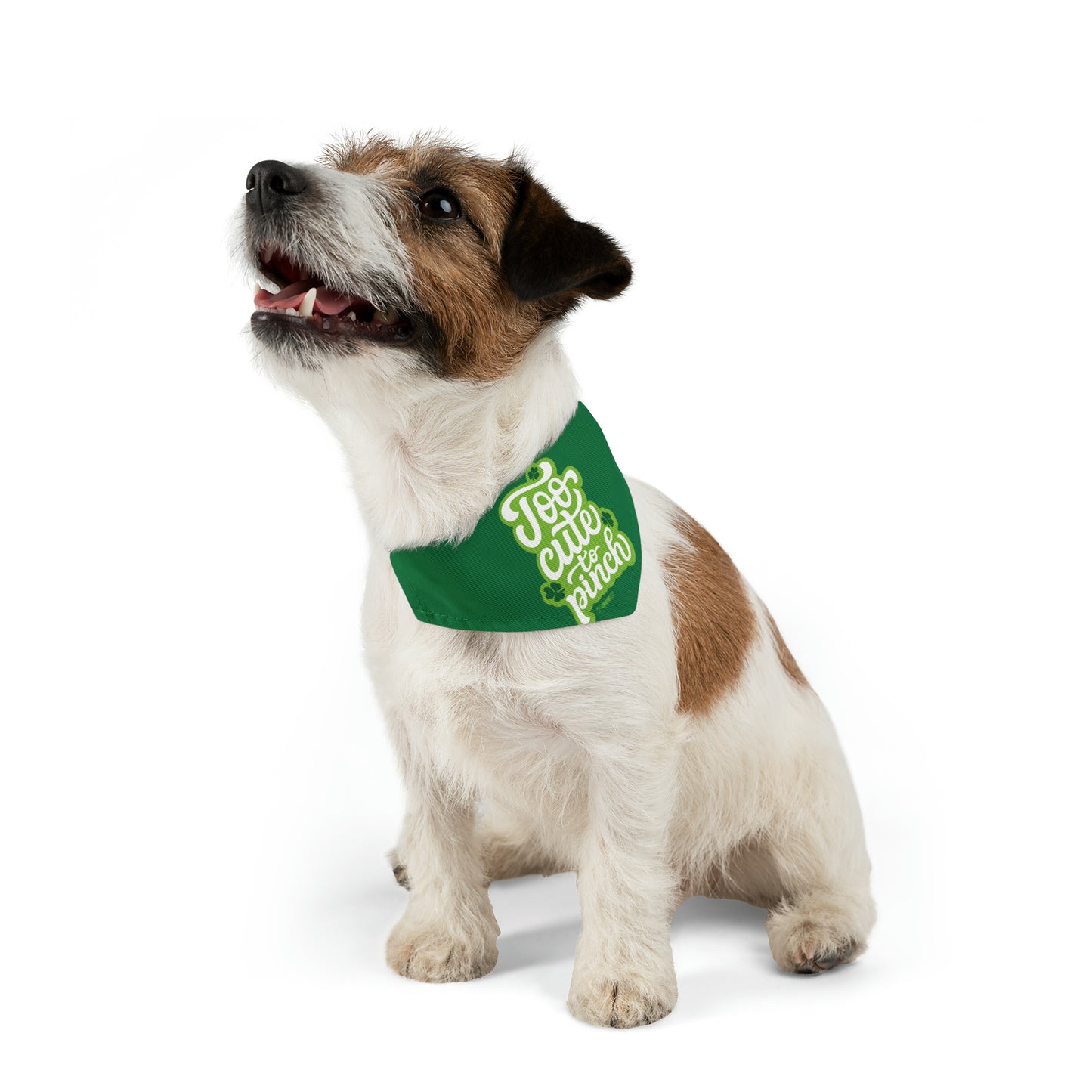 Too Cute To Pinch Pet Bandana Collar