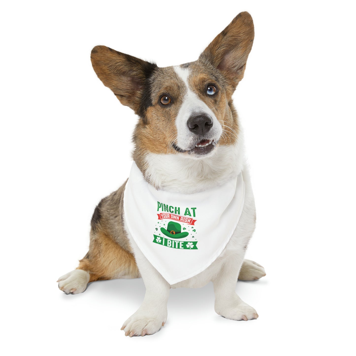 Pinch at Your Own Risk Dog Bandana Collar