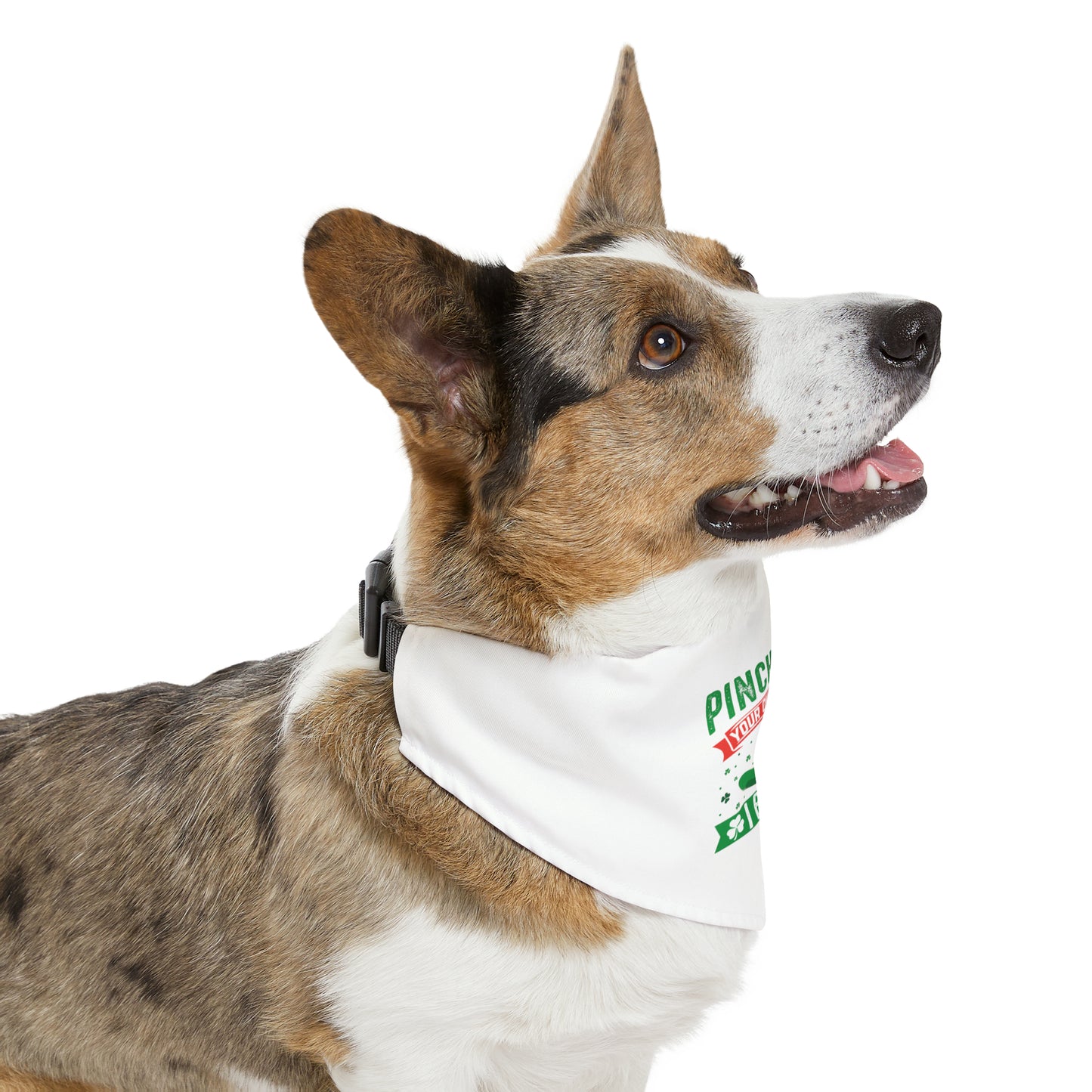 Pinch at Your Own Risk Dog Bandana Collar