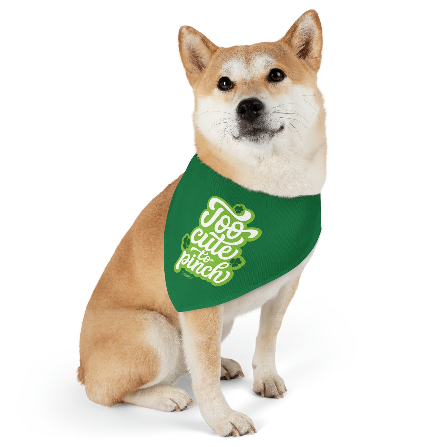 Too Cute To Pinch Pet Bandana Collar