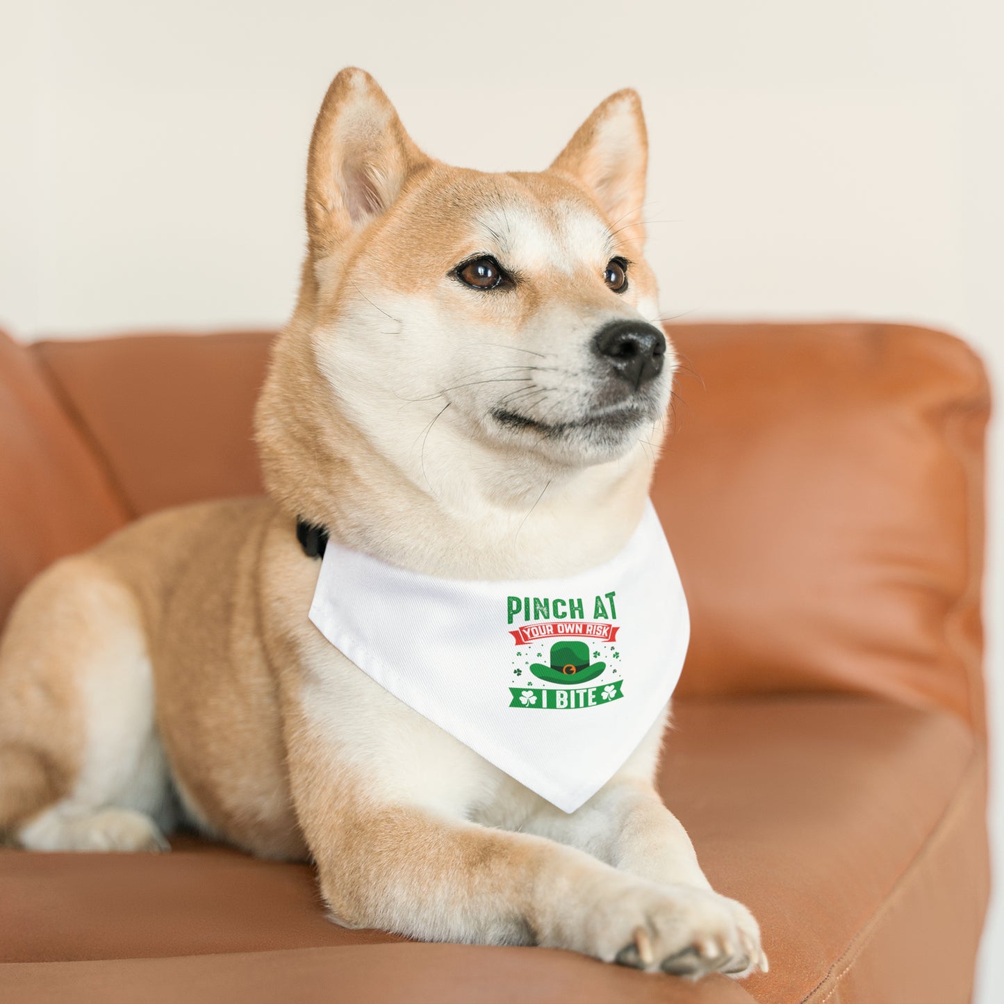 Pinch at Your Own Risk Dog Bandana Collar