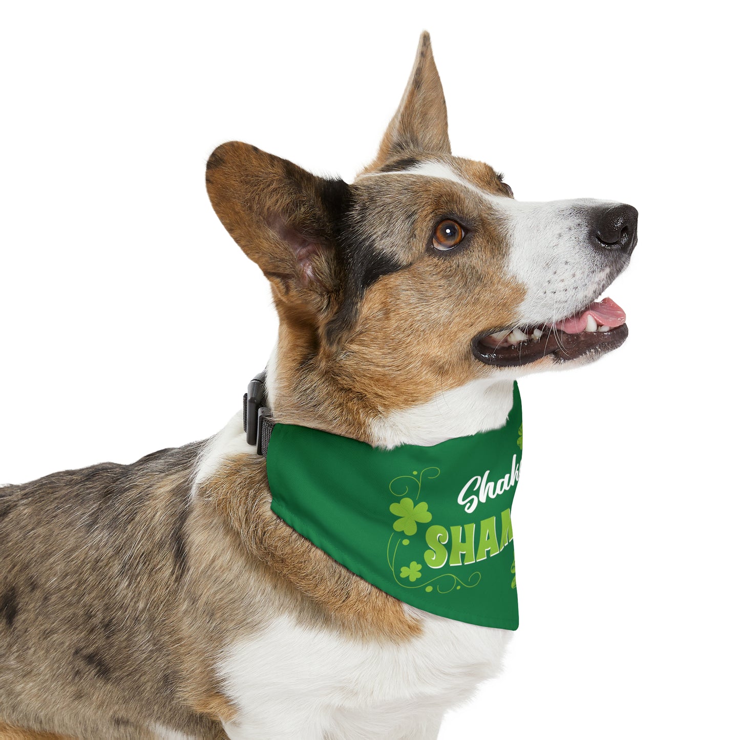 Shake Your Shamrock's Pet Bandana Collar