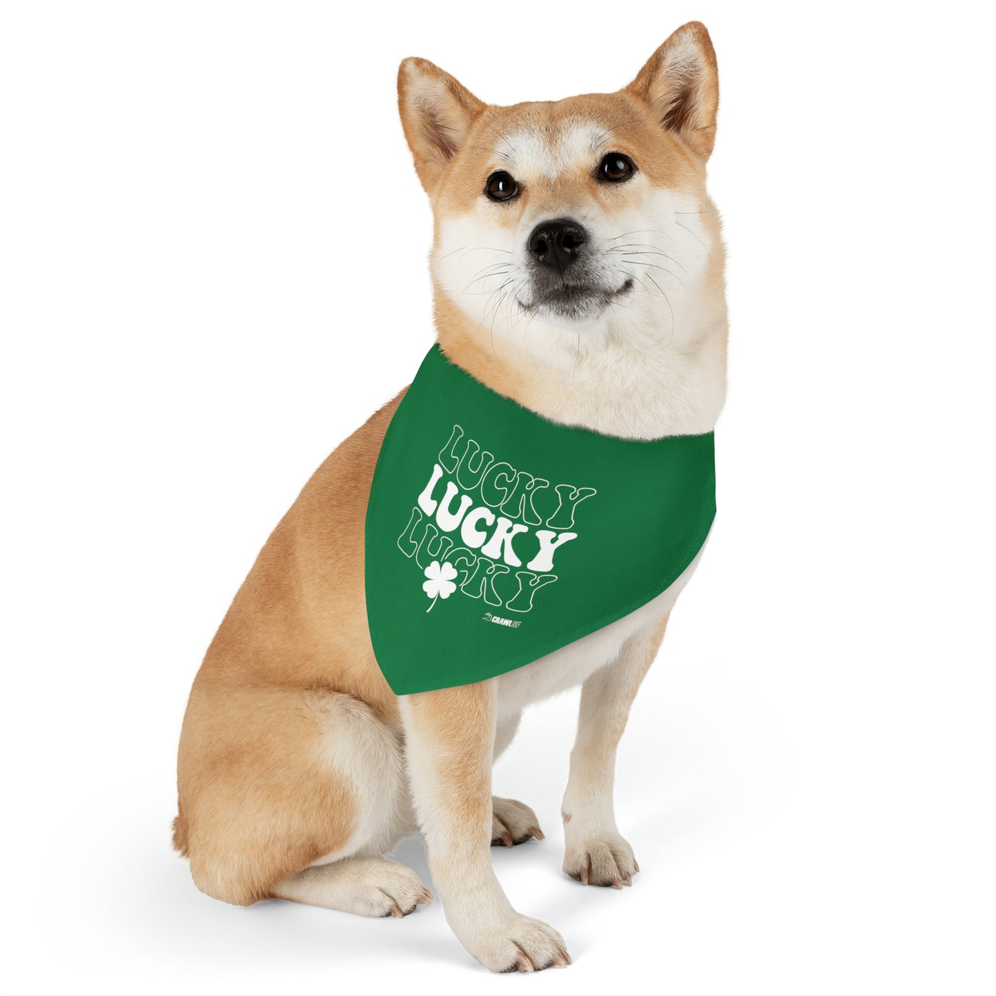 Lucky Dog Bandana Collar